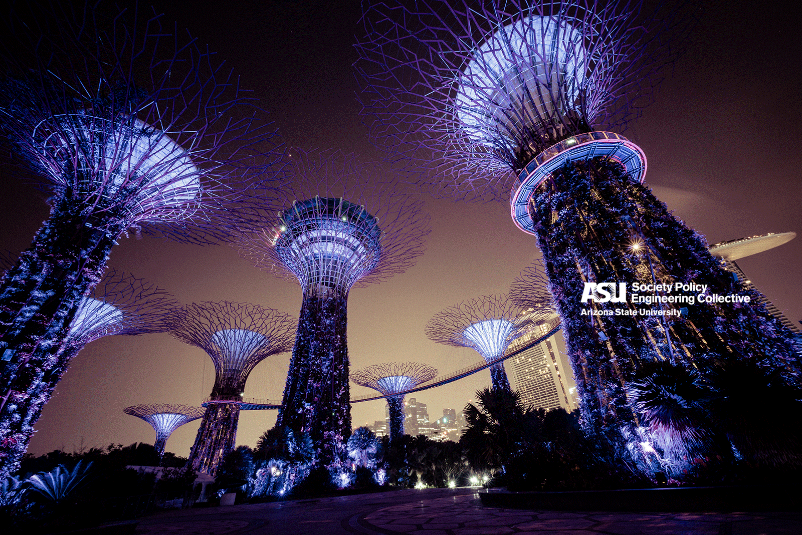 humanmade tree-like structures in blue-purple lighting at night
